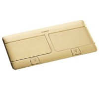 Floor square receptacle golden brushed 8(2x4)mod. IP44 Legrand 