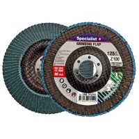 Sanding disc 125x22 mm. ZK100 Specialist+